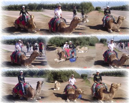 ABDO & YOUNES